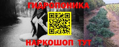 наркотики Гусев