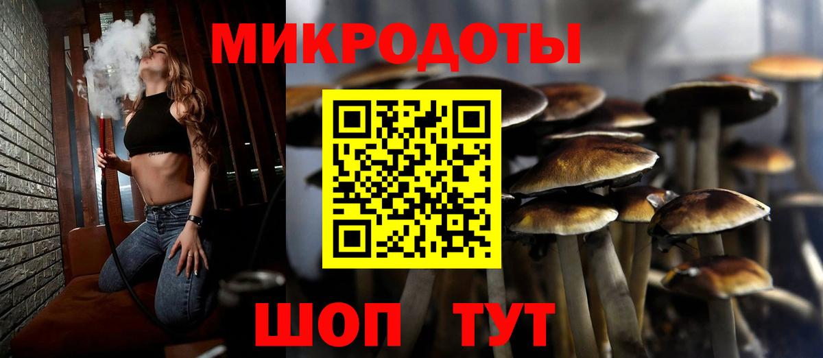 Псилоцибиновые грибы прущие грибы  Галлюциногенные грибы Psilocybe  Вход с VPN  Кизляр 